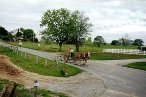 Au cœur du pays amish